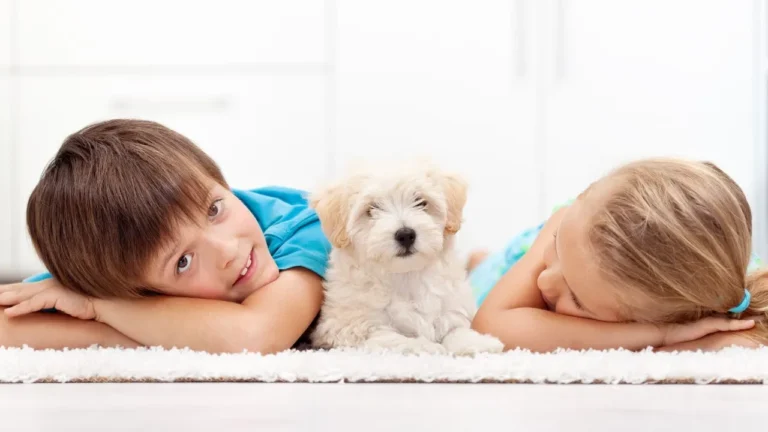 Kids Benefit From Pet Ownership: A Comprehensive Guide to the Advantages!